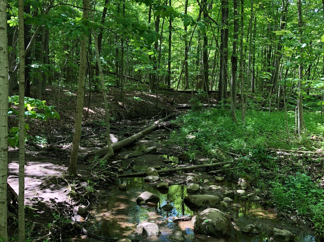 Maybury State Park-诺斯维尔必去景点