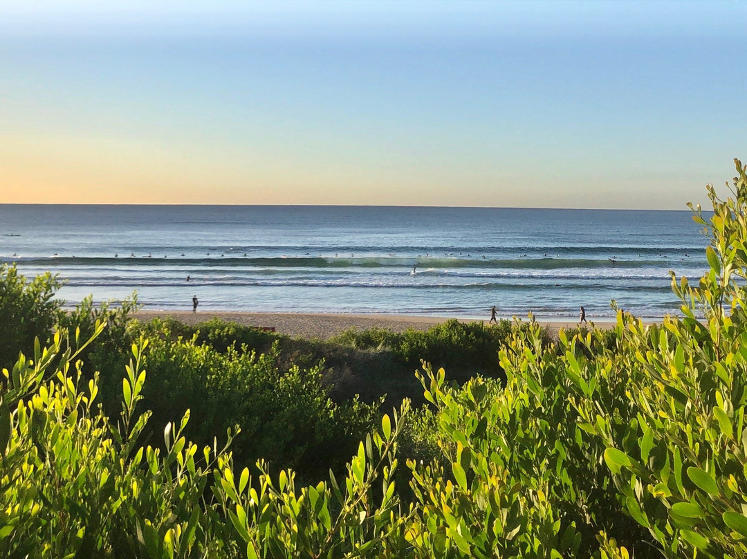 Curl Curl to Freshwater Beach Coastal Walk景点图片