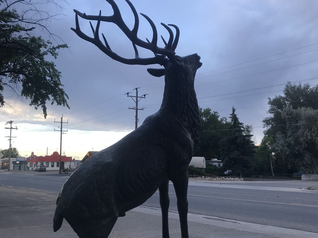 Plains Motel & Trading Post主图