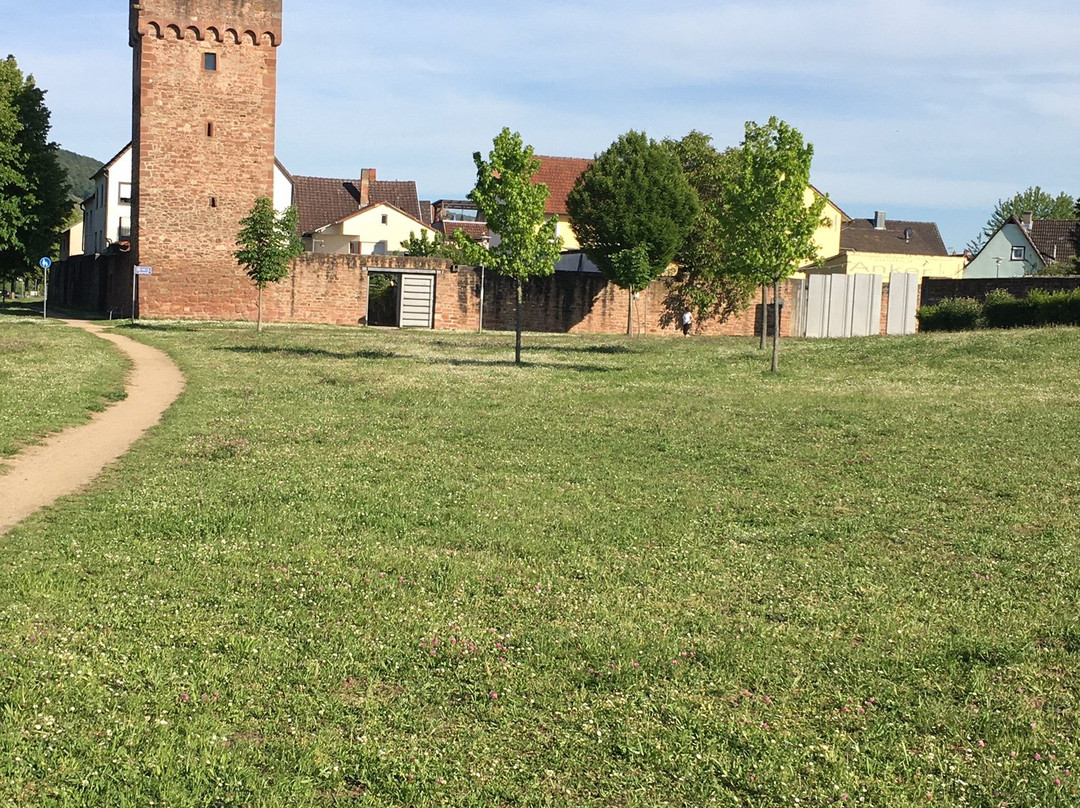 Worth am Main旅游攻略图片