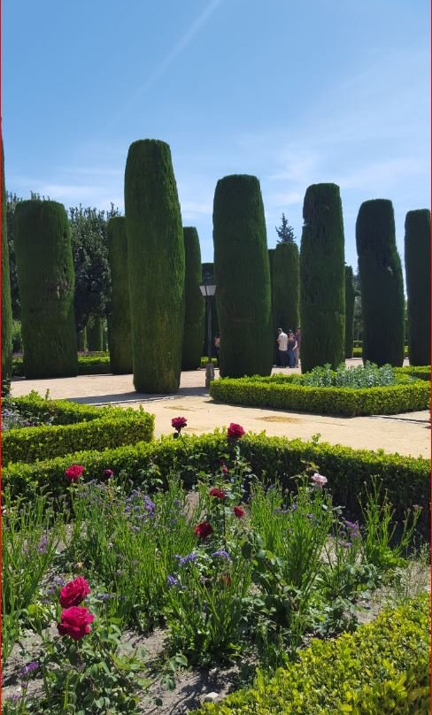 Tiered Gardens of The Alcazaba景点图片