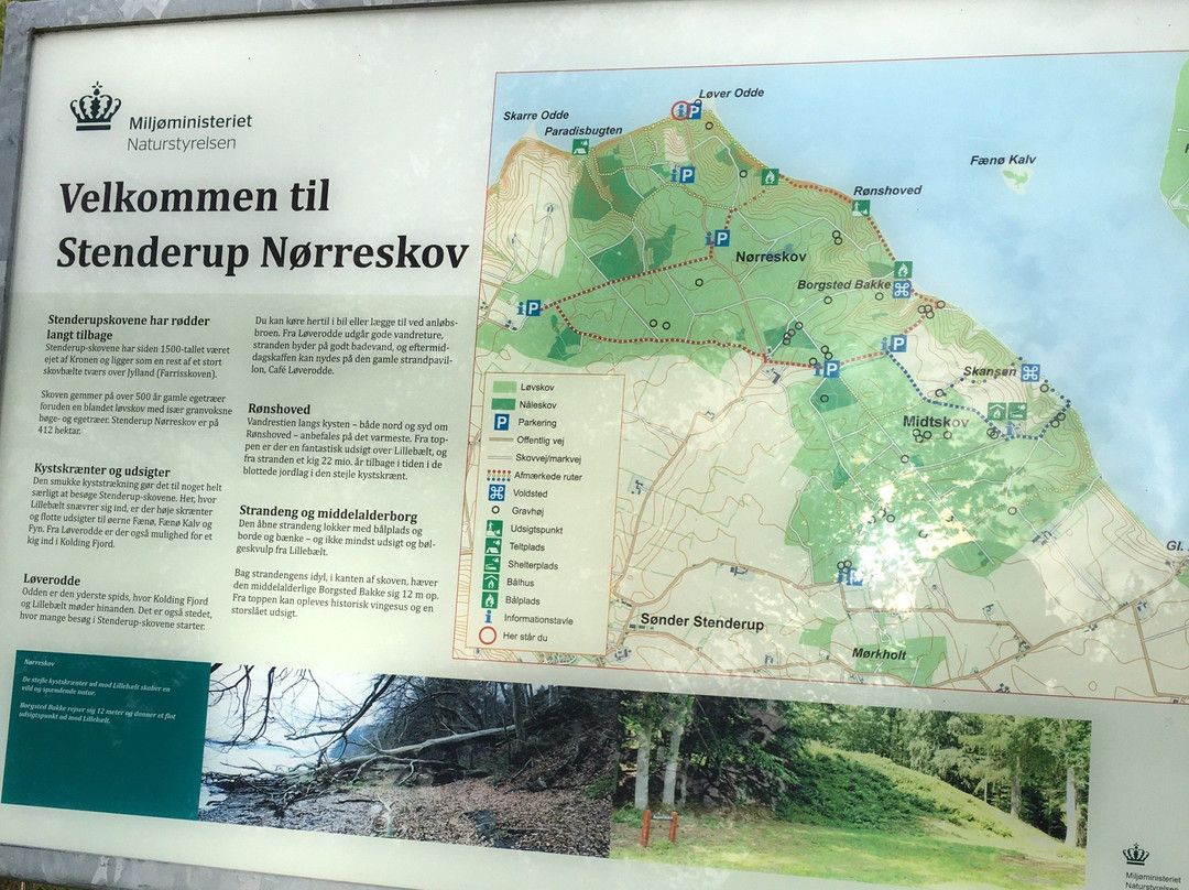Stenderup Skovene-Soender Stenderup必去景点