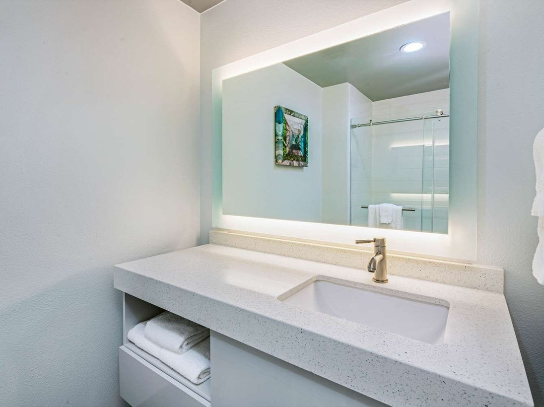 Four Points by Sheraton Plano主图