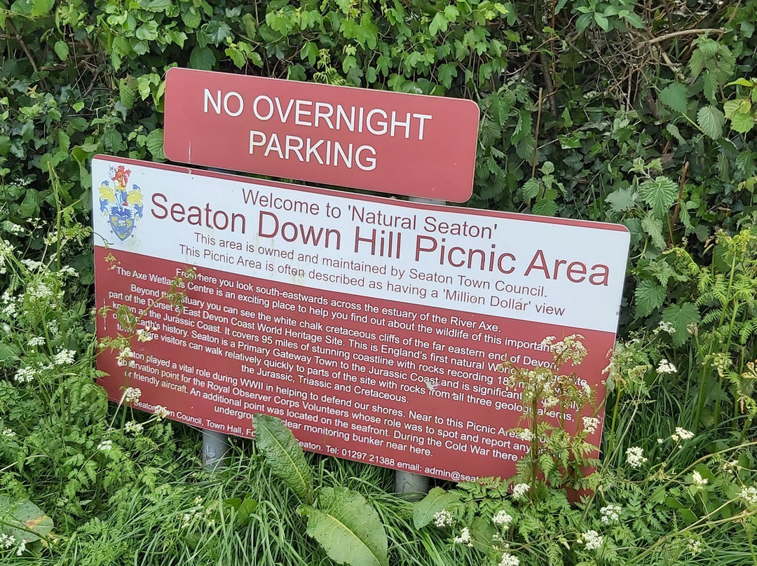Seaton Down Picnic Area-Seaton必去景点