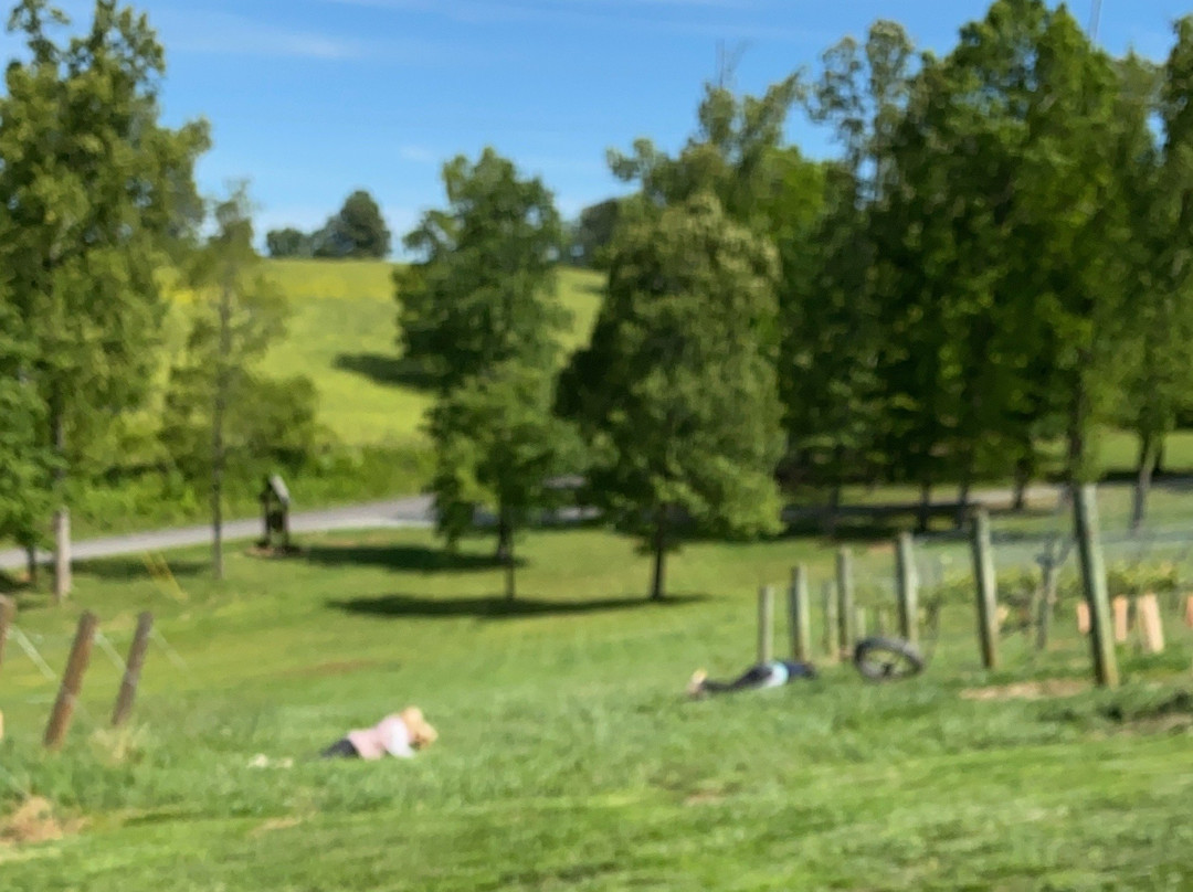 Engelheim Vineyards-Ellijay必去景点