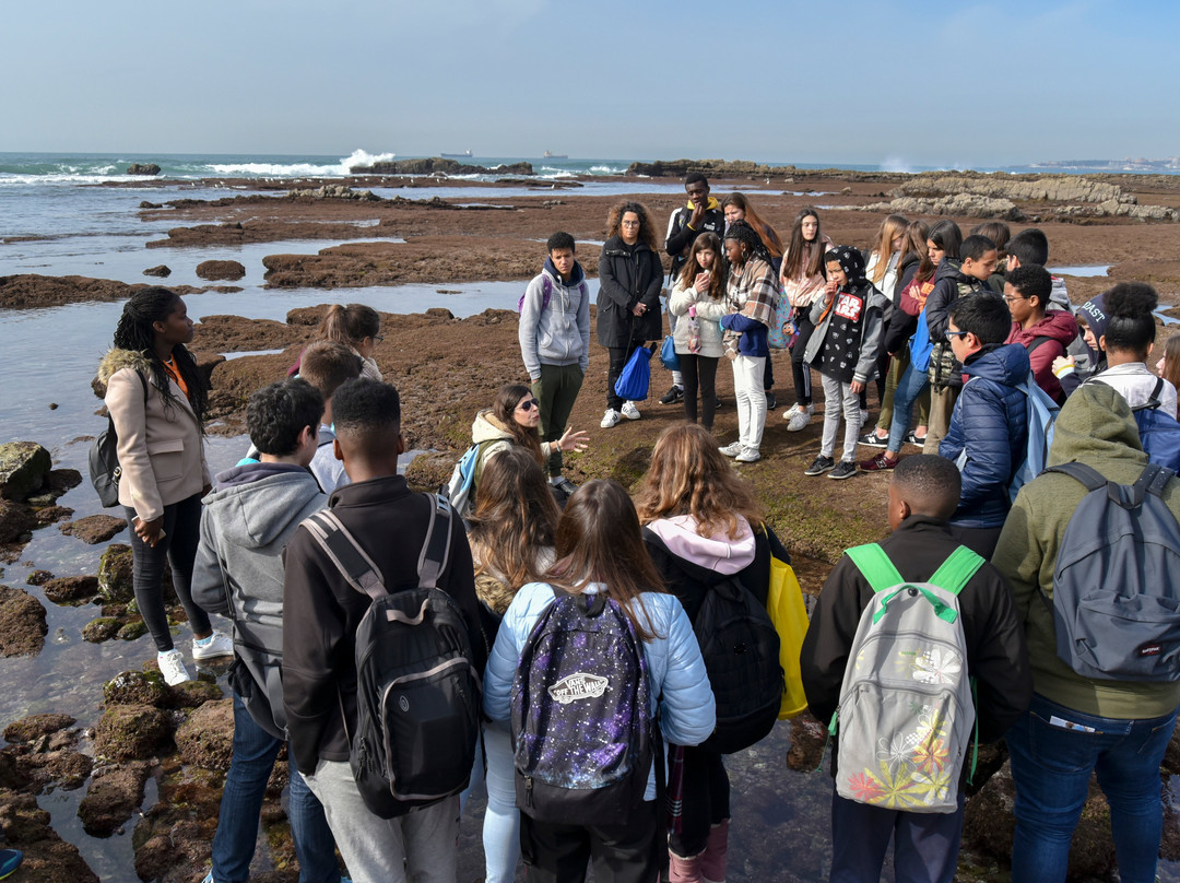Centro de Interpretacao Ambiental da Pedra do Sal-卡斯凯什必去景点