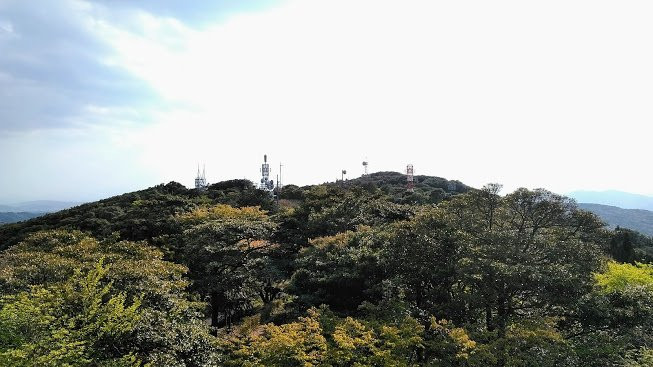Sakurayama Sogou Park-美祢市必去景点