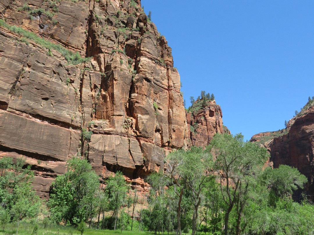 Temple of Sinawava Trail-锡安国家公园必去景点