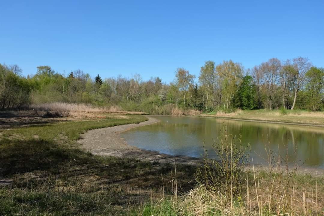 Sandteich-Helmstedt必去景点