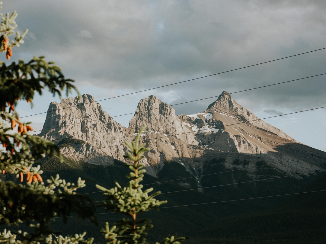 熊及野牛乡村酒店主图