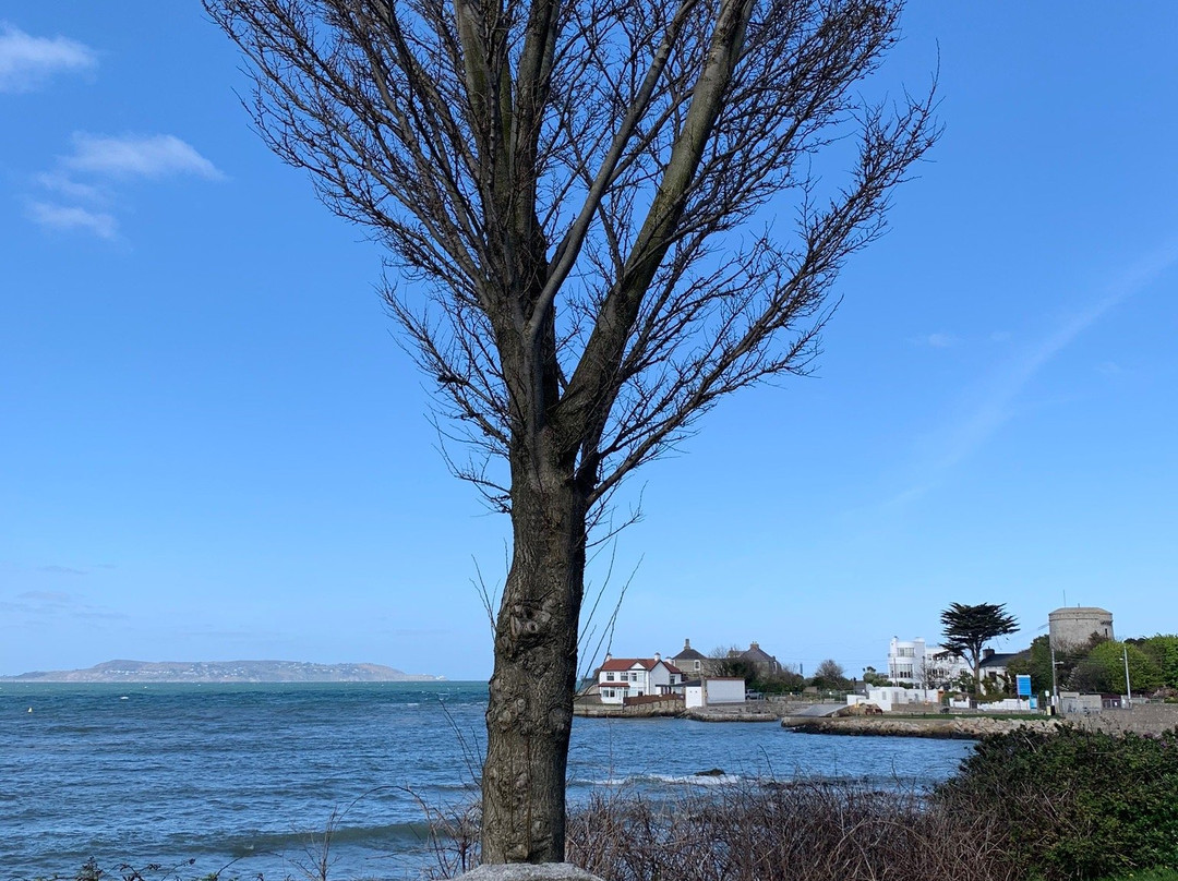 James Joyce Centenary Tree-Sandycove必去景点