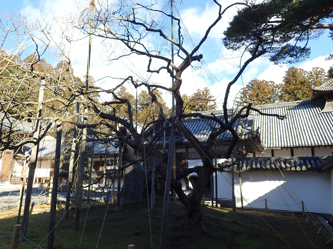 Zuigan-ji Naka Gate景点图片