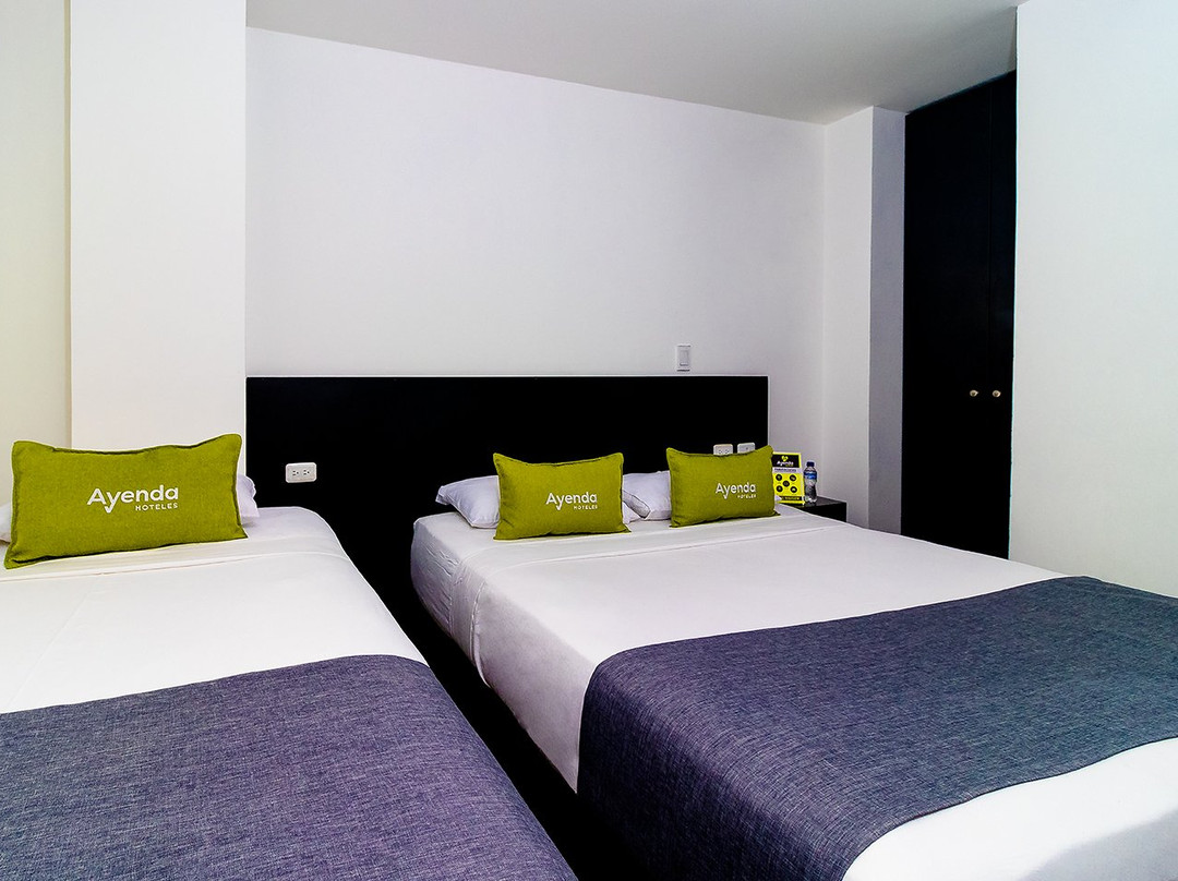 Ayenda 1063 Golden主图