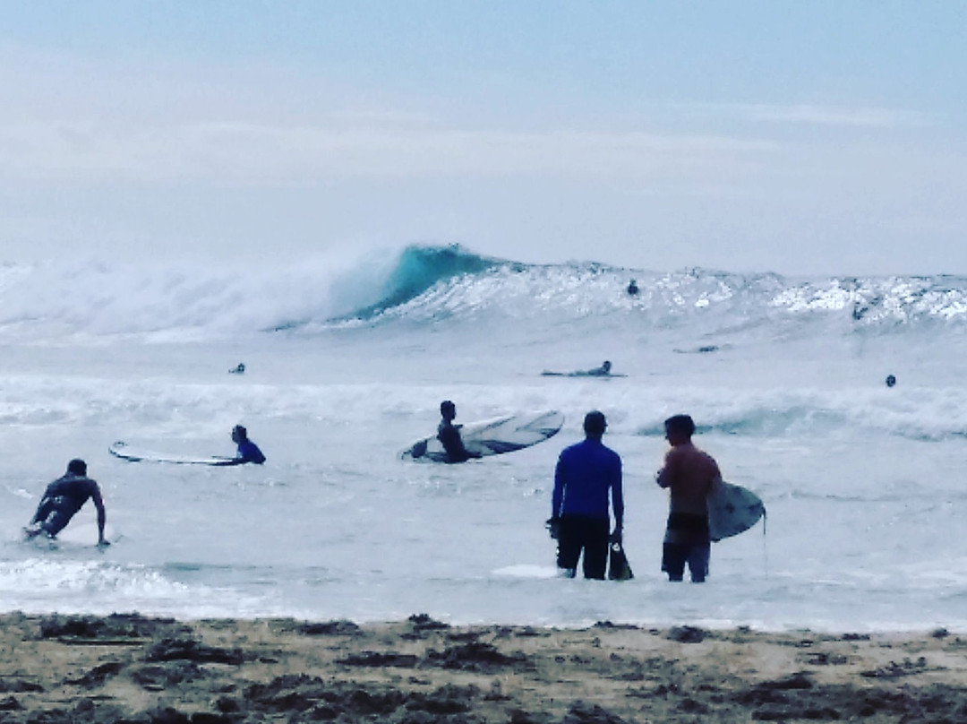 Surf in Cabo景点图片