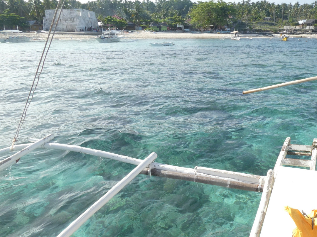 Pamilacan Island Dolphin and Whale Watching Tours景点图片
