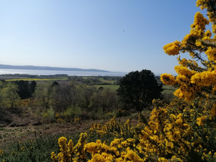 Thursaston Hill景点图片
