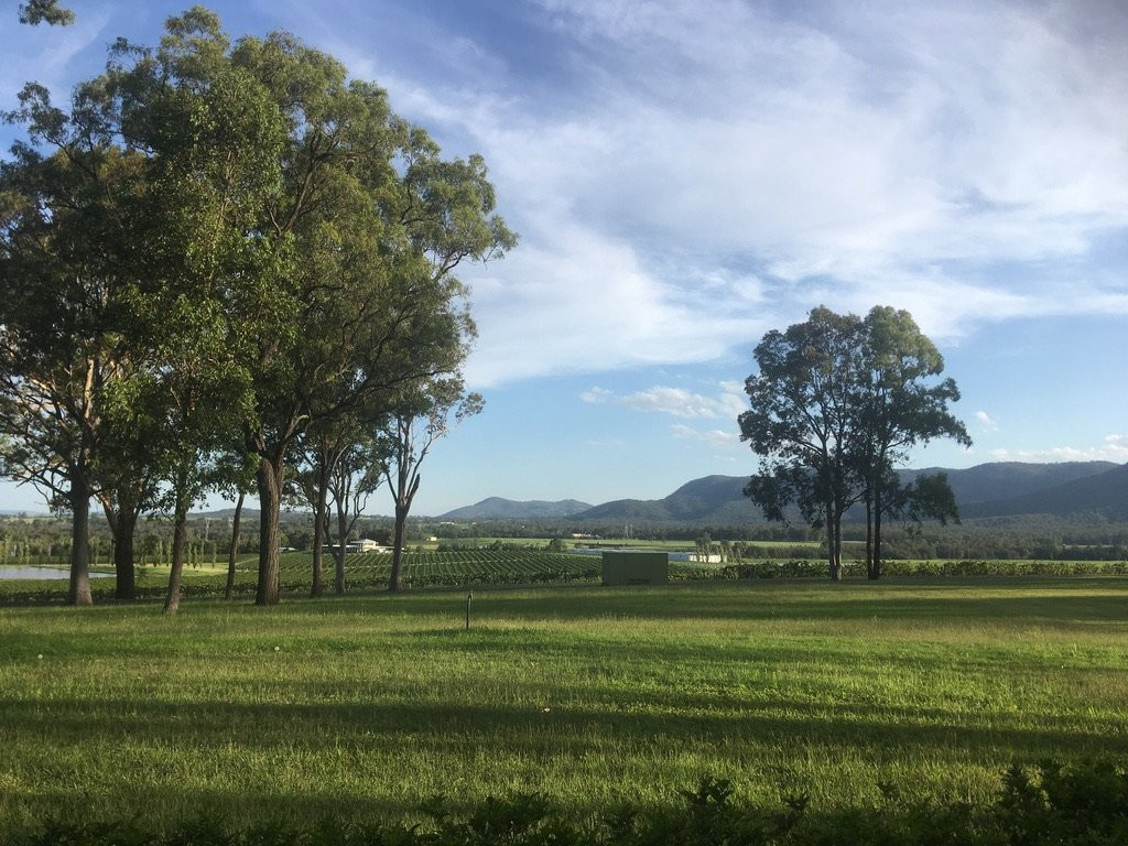 马丁尼马奇酒店主图