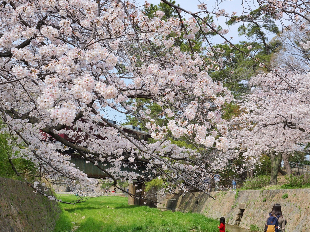 Shukugawa Park-西宫市必去景点