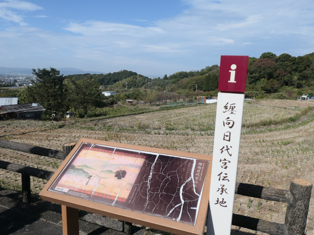 Sumo Shrine-樱井市必去景点