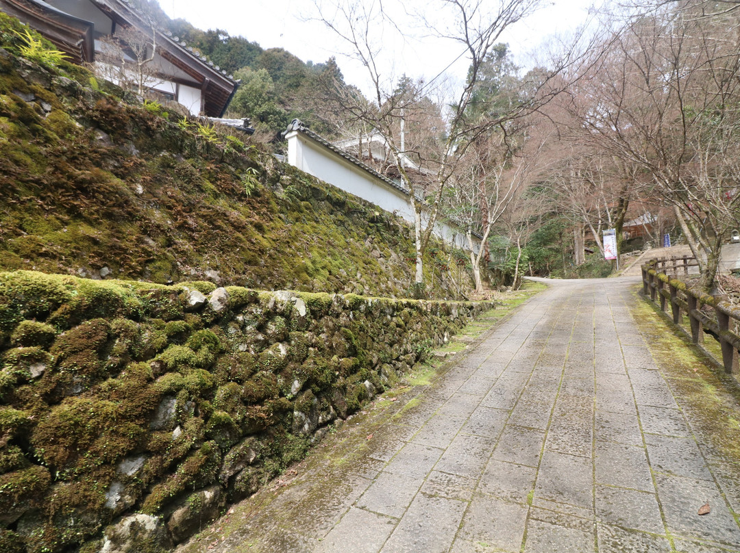 Sekiganji Temple-丹波市必去景点