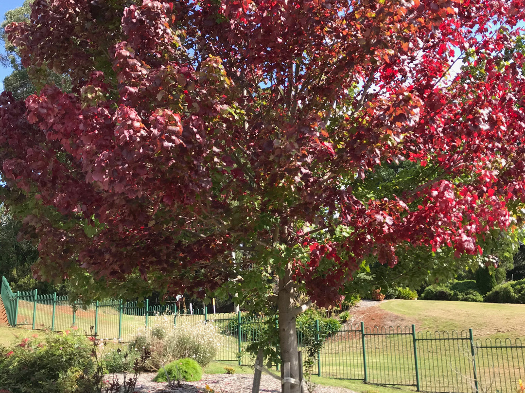 Erica Recreation Reserve Playground-Erica必去景点