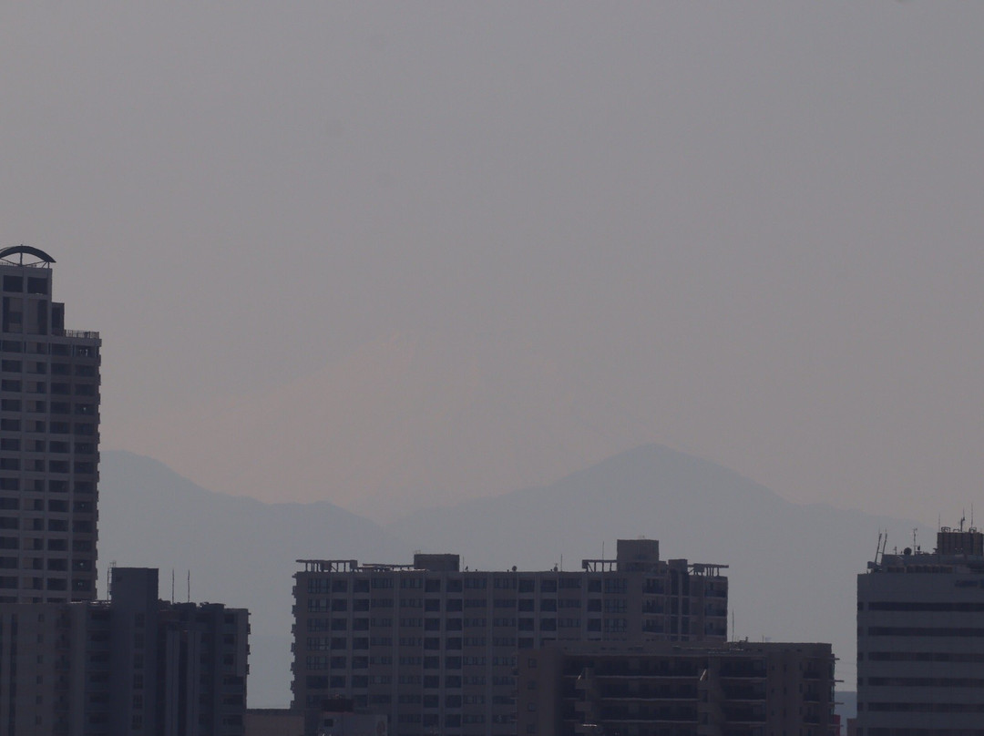 Sengenyama Park-府中市必去景点