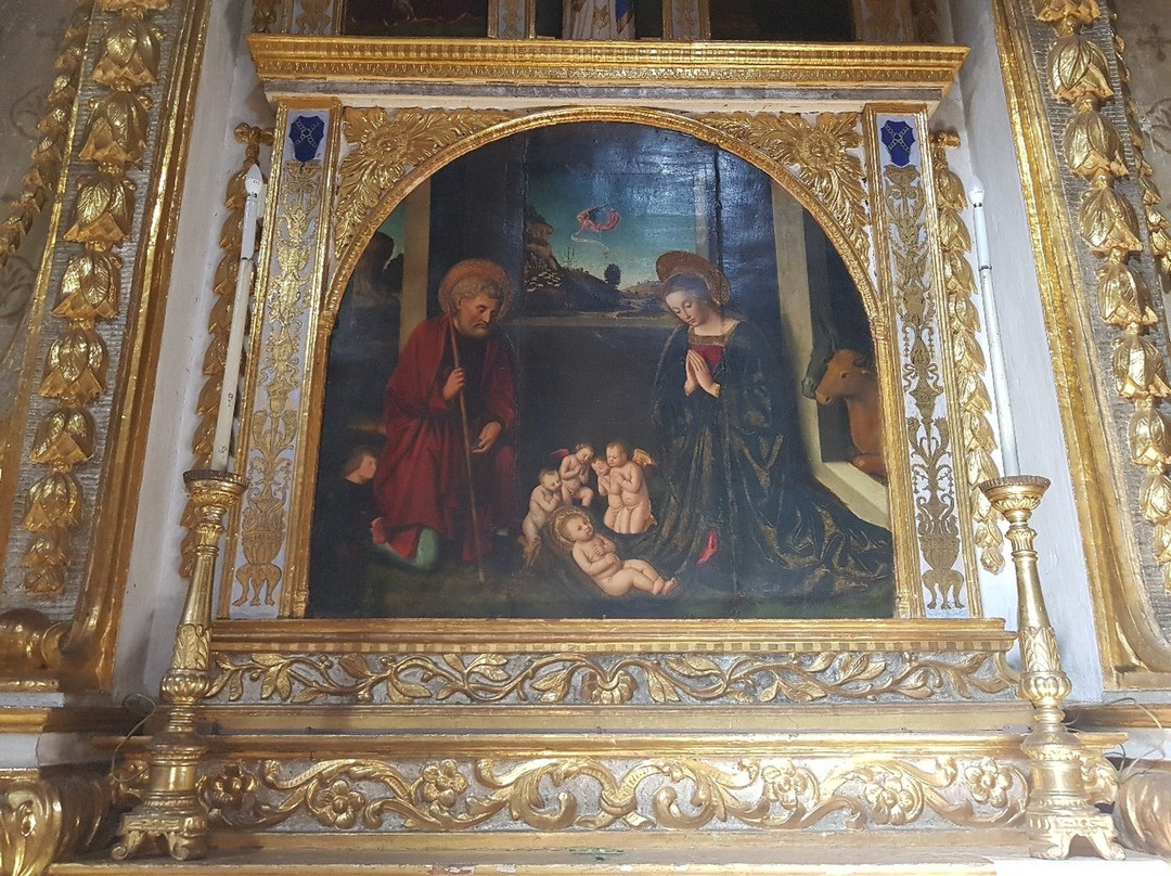 Collégiale Saint-martin景点图片
