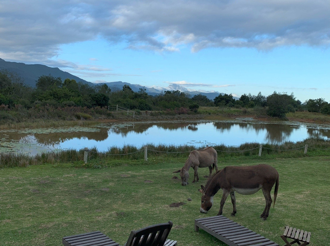 Villa Vilekulla主图