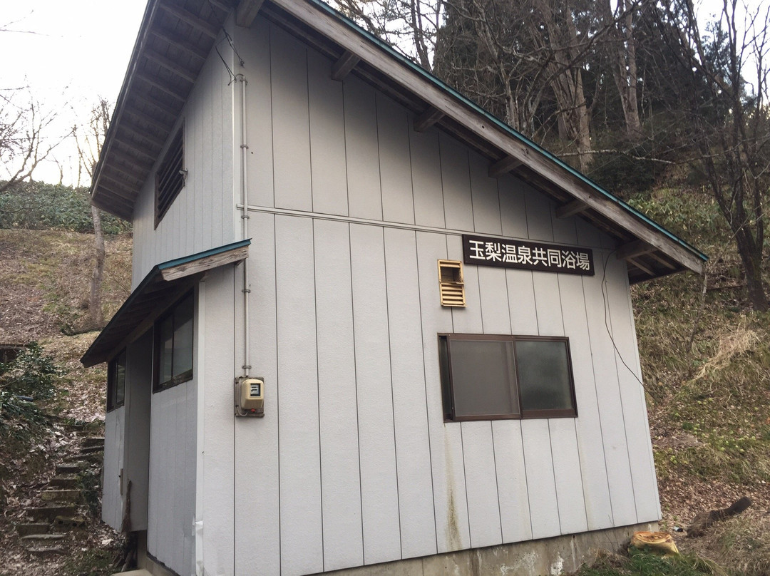 Tamanashi Onsen Public Bath景点图片
