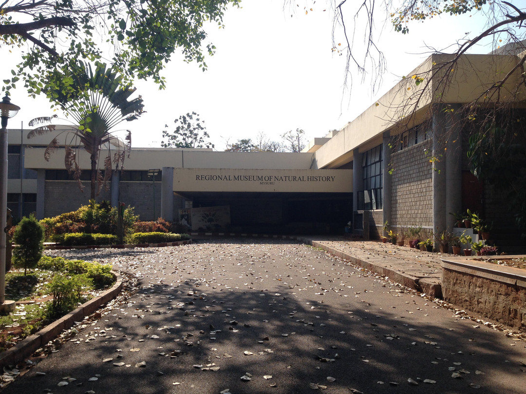 Regional Museum of Natural History-迈索尔必去景点