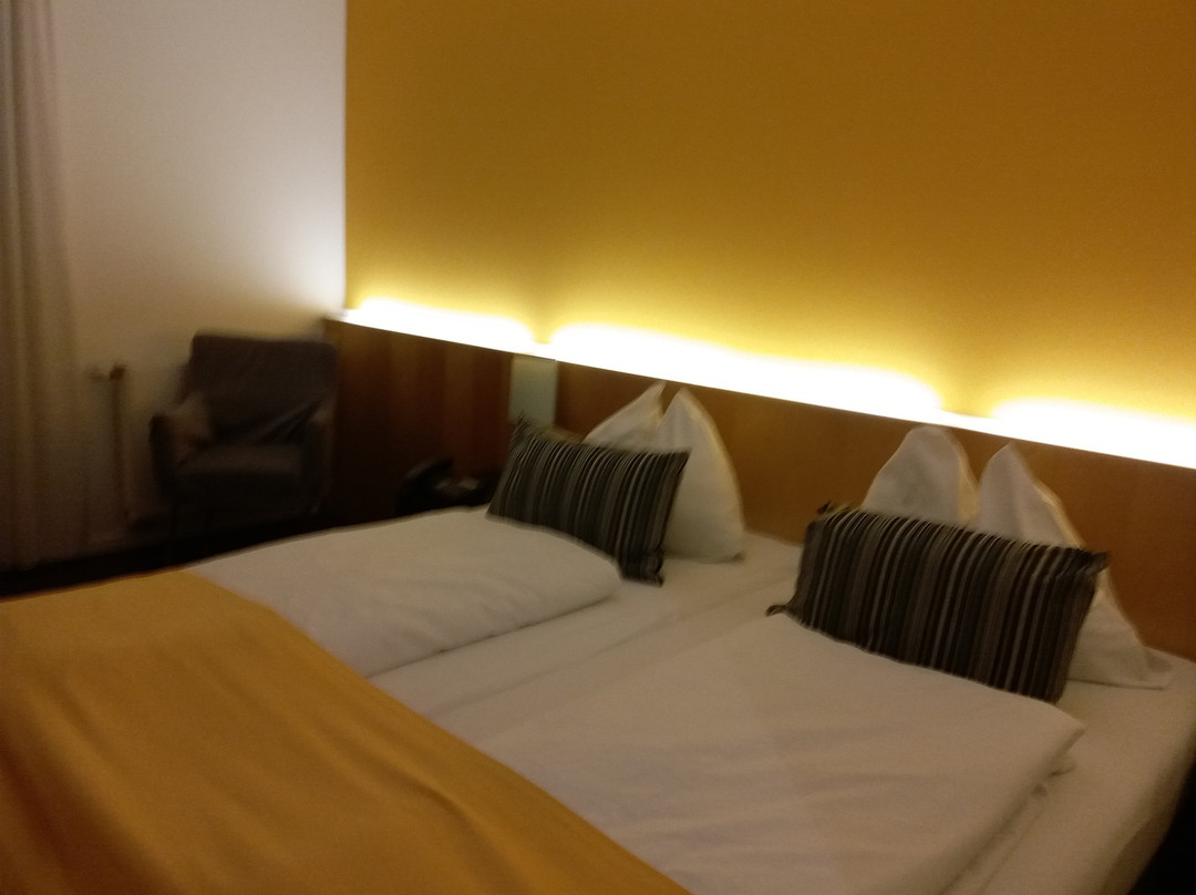 HEINhotel vienna airport主图