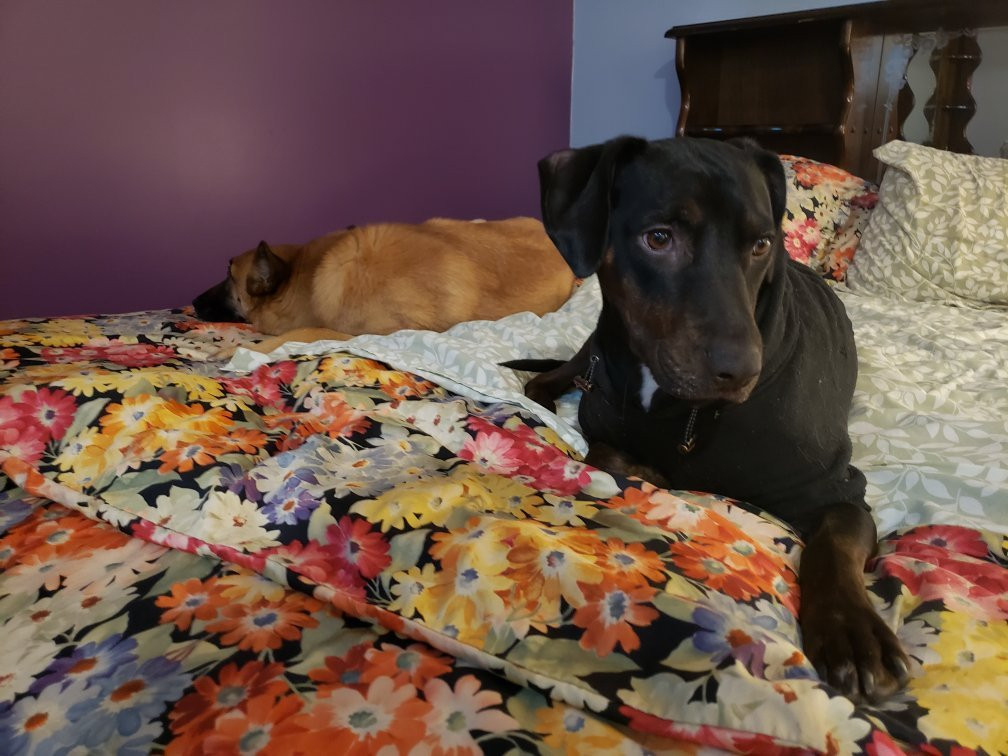 Big Horn Hotel主图