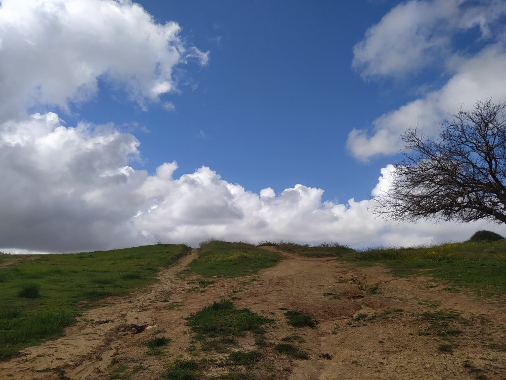 National Park Sandstone Hills景点图片