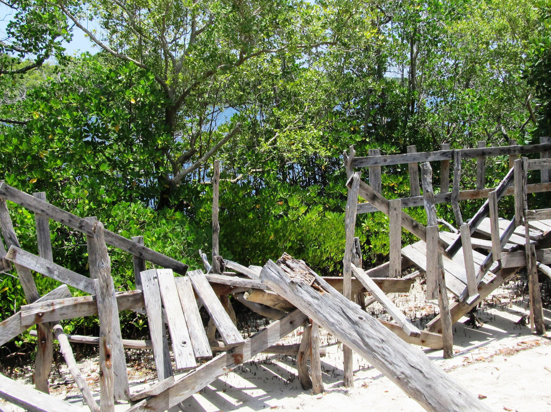 Gazi Mangrove Boardwalk-乌库达必去景点
