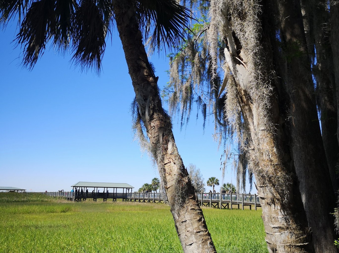Wild Florida Airboats & Gator Park-Kenansville必去景点