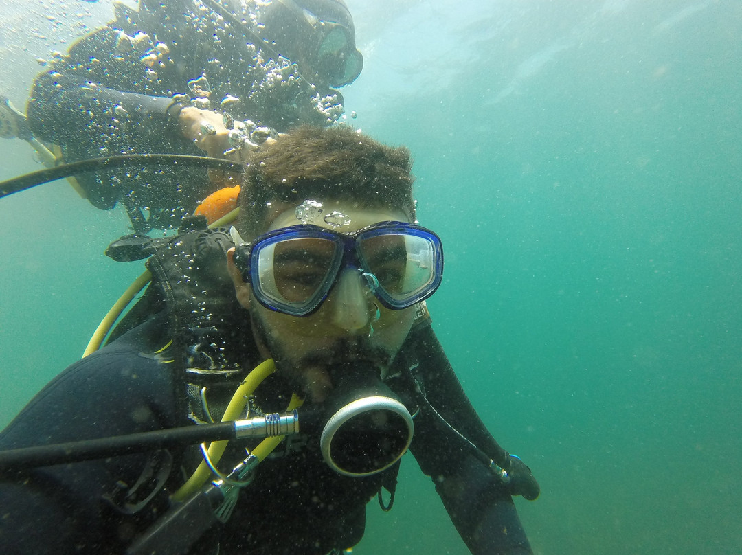 Queiroz Diver-阿拉伊阿尔港必去景点