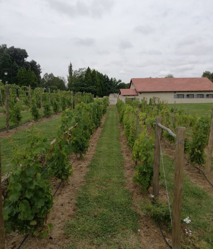 Village du Pont-Parys必去景点