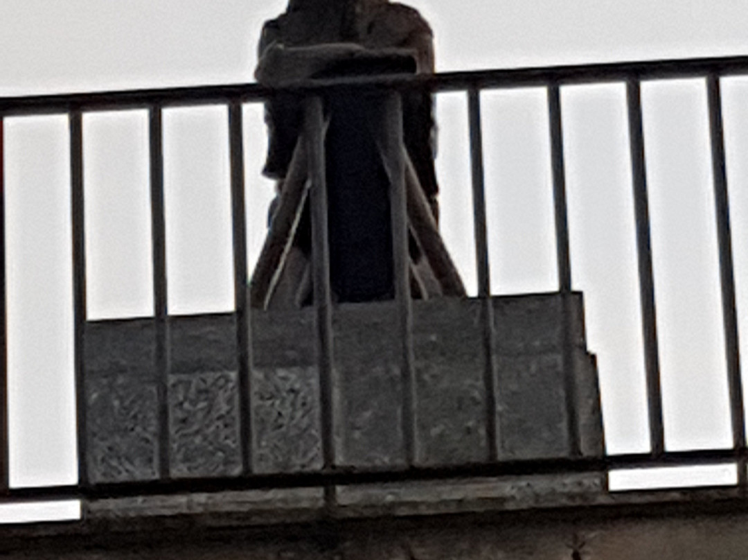 Statua della Lavandaia景点图片