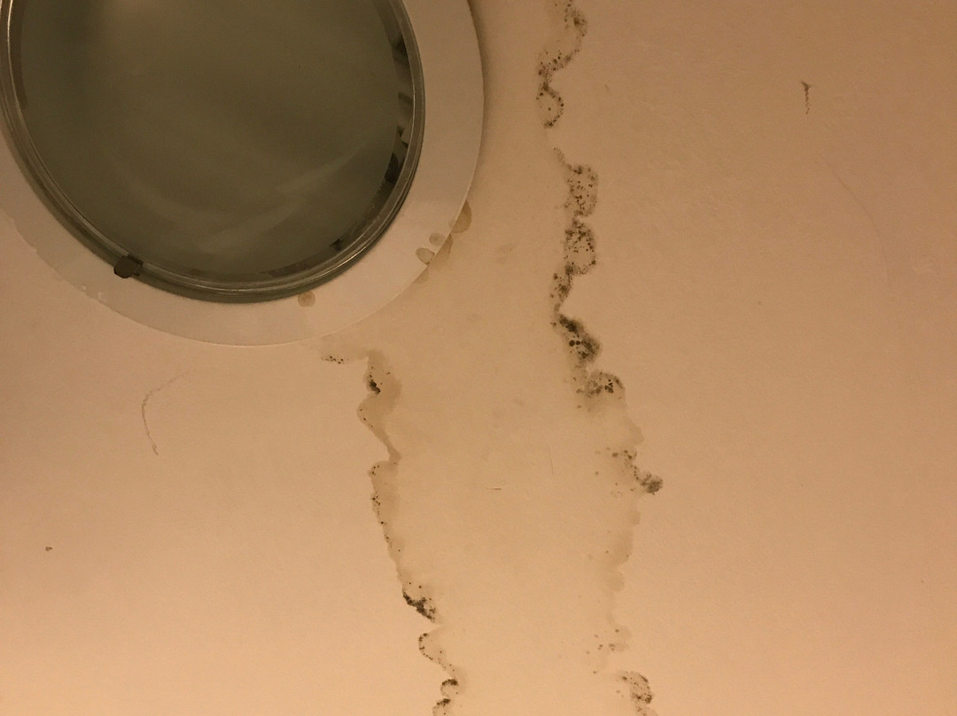 Starfish Las Palmas主图