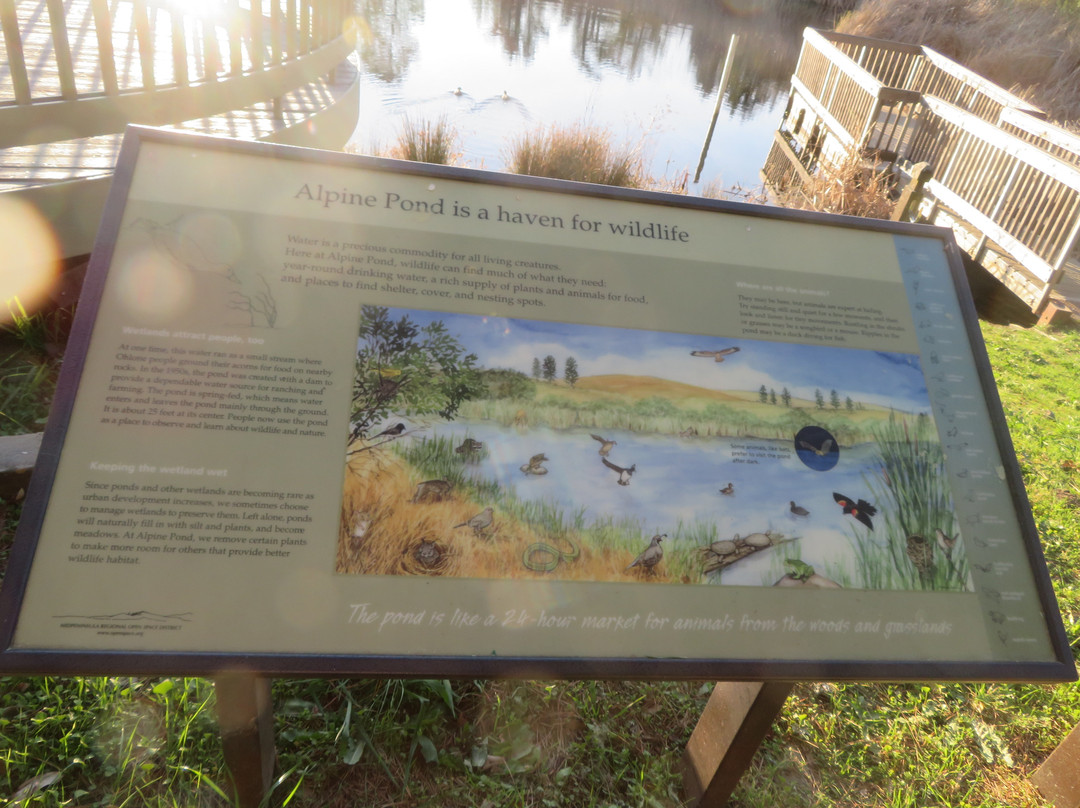 Skyline Ridge Preserve-La Honda必去景点