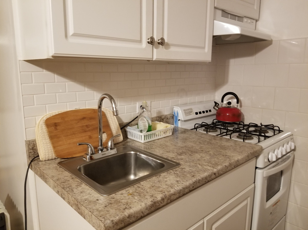 Black Bear Lodge主图