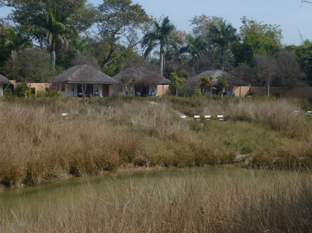 Khem Villas Ranthambore主图