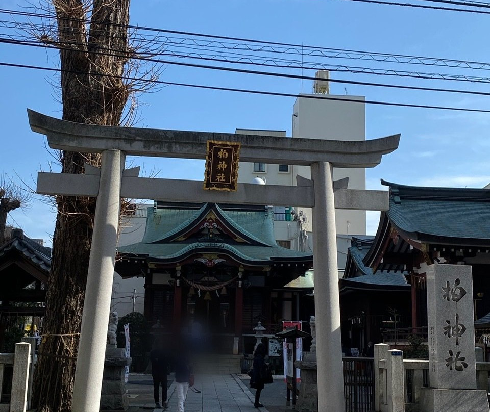 Kashiwa Shrine景点图片