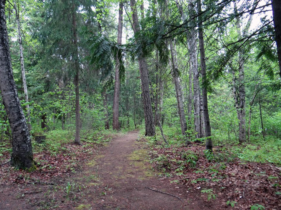 North Thompson River Provincial Park景点图片