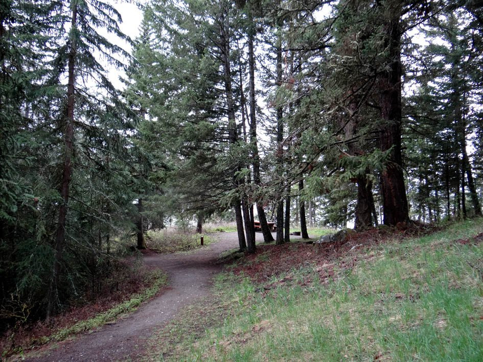 Bridge Lake Provincial Park景点图片