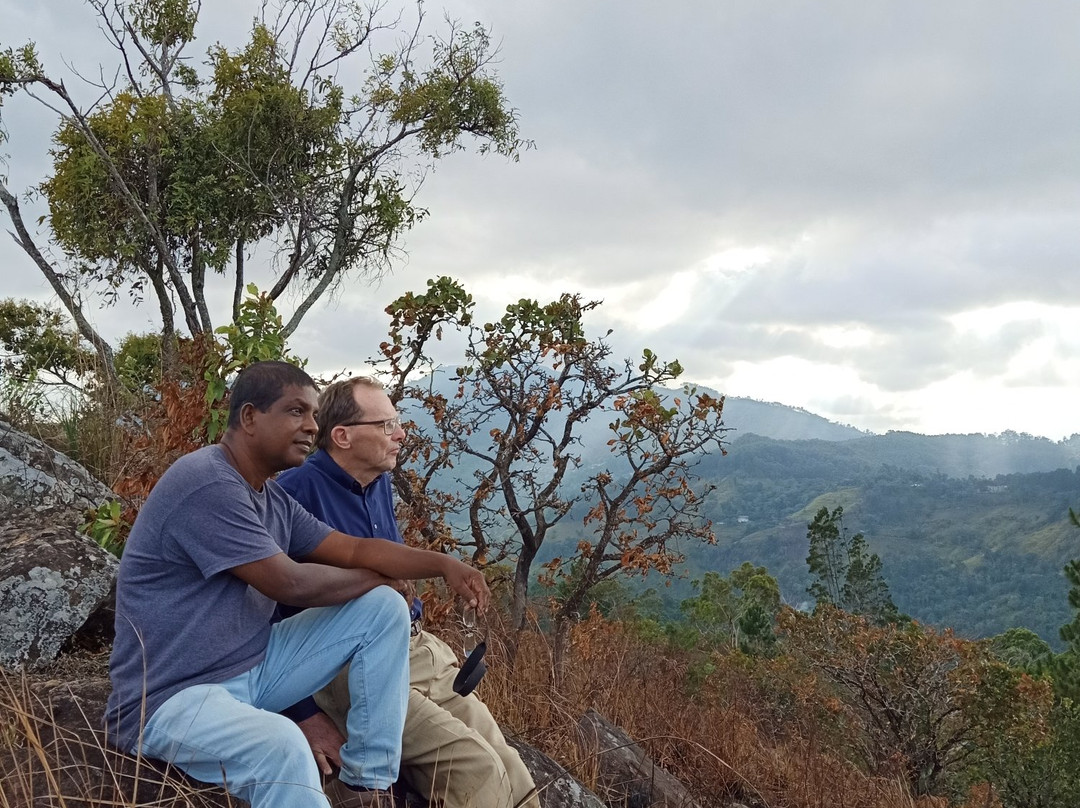 Ella Wildlife Village主图