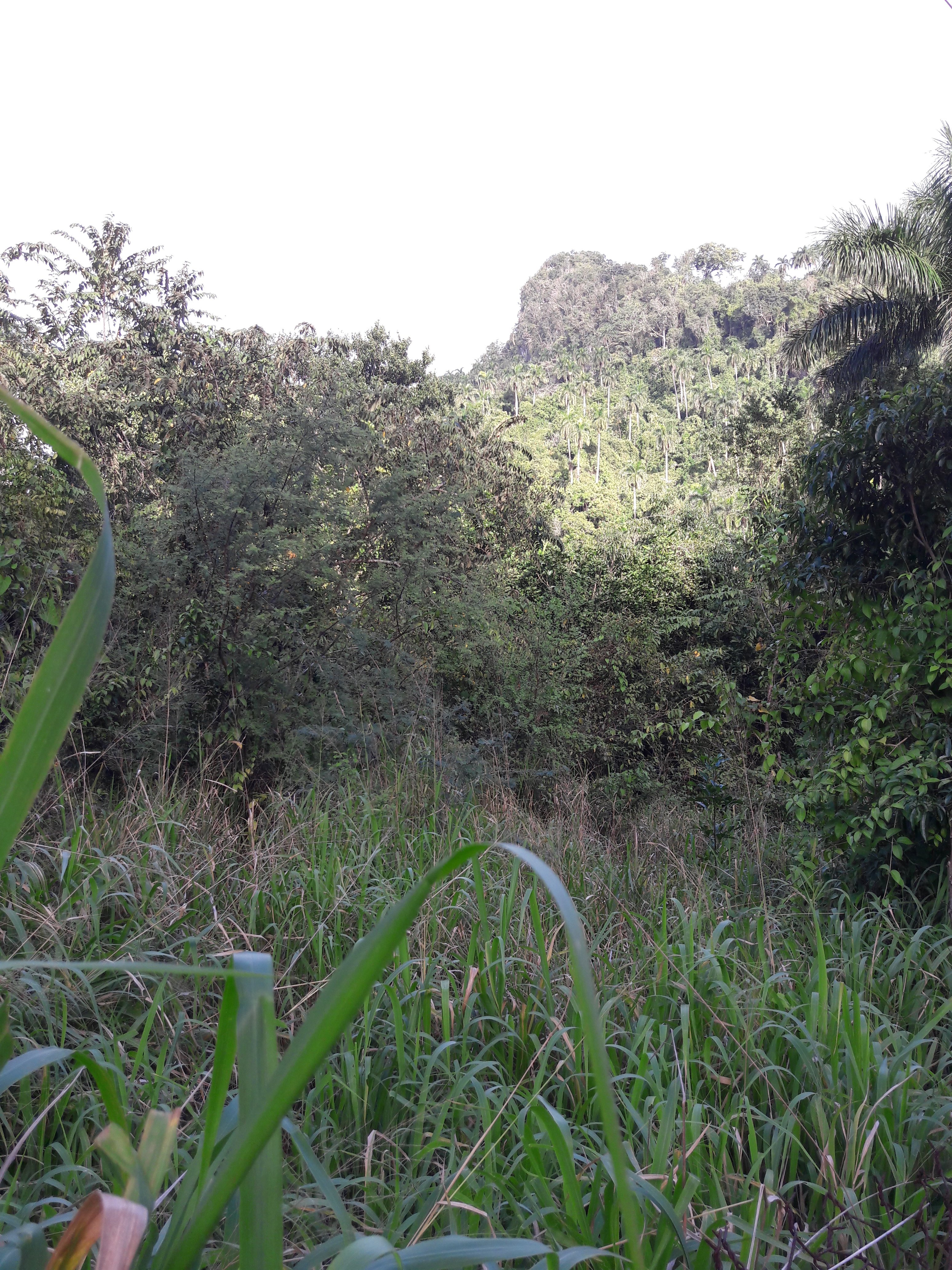 Casa Vivo in Soroa-官方