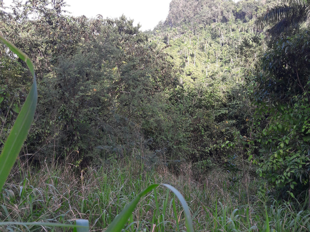 Casa Vivo in Soroa主图