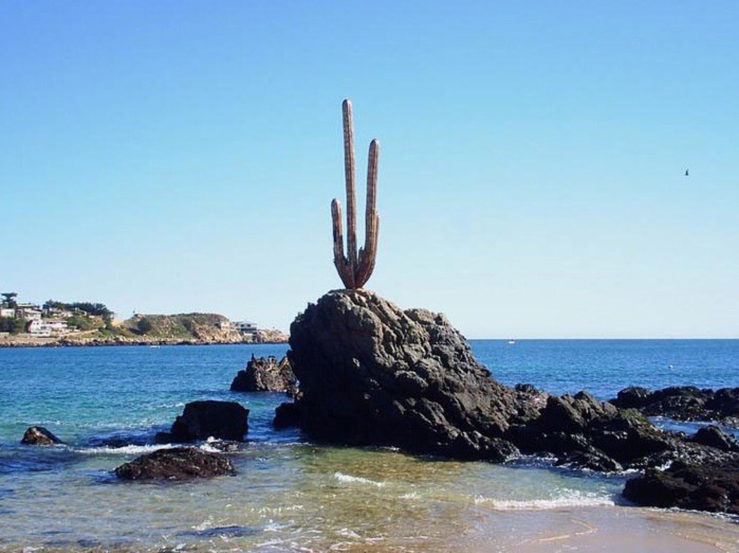 Playa El Quisco景点图片