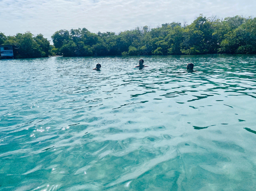 Isla Mata La Gata-La Parguera必去景点